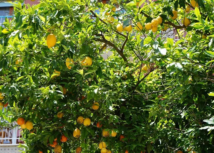 Susy Relais Bed & Breakfast Sant'Agnello